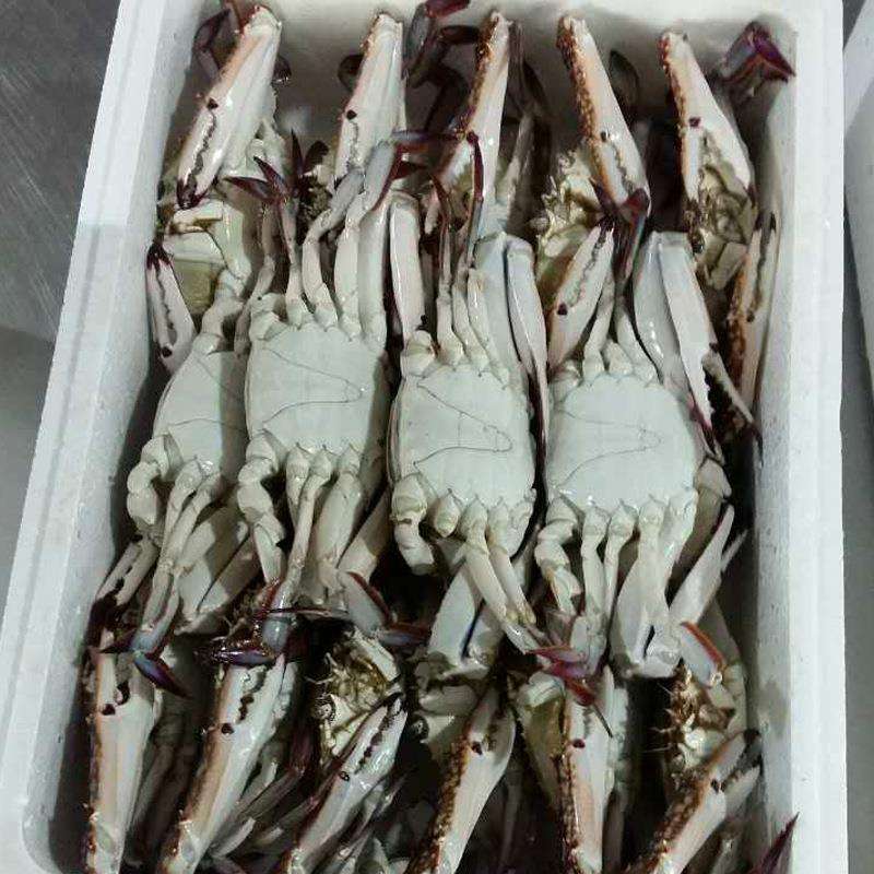海鮮系列